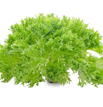 Xà lách thuỷ tinh